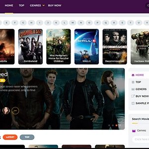 Toroplay Wordpress Movie Theme